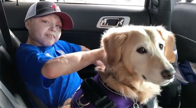 Owen and Chi Chi go for a ride. Source: The Independent