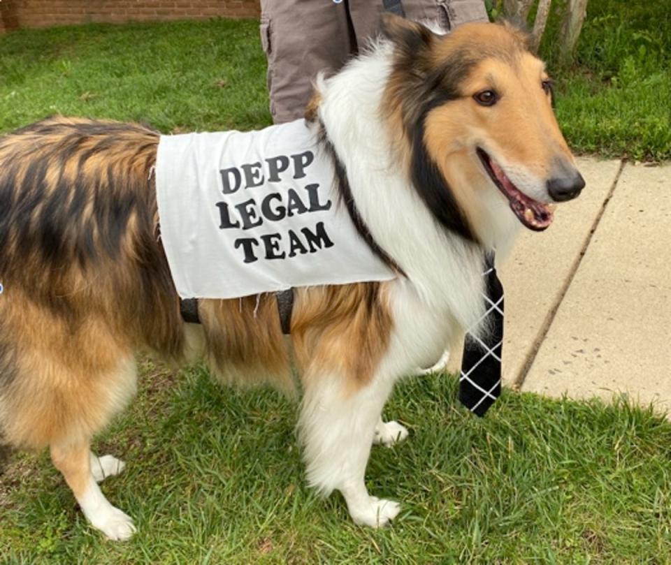 Danny the dog came from Ohio with his owners (The Independent)