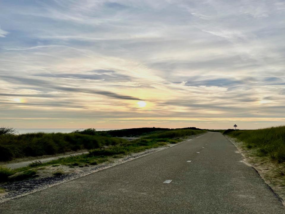 The coast path to Zoutelande and beyond (Jini Reddy)