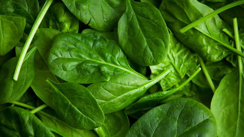 Spinach leaves and stems