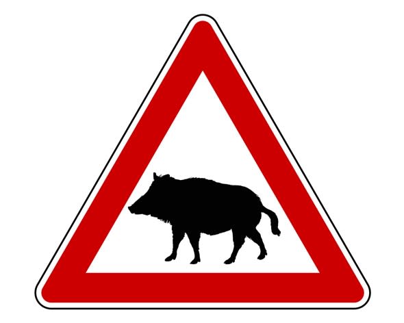 'Beware the boar' sign planned for UK roads