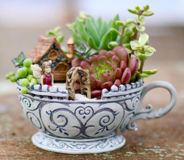 Succulent Teacup Fairy Garden