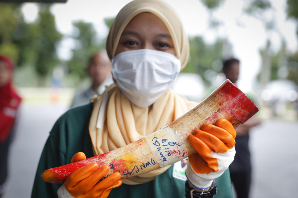 Staff at a government waste management facility display seized ivory tusks before destroying them Tuesday, April 30, 2019, outside Seremban, Malaysia. Malaysia has destroyed nearly four tons of elephant tusks and ivory products as part of its fight against the illegal ivory trade. (AP Photo/Vincent Thian)