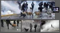 #istanbul killing the dogs and fire them with tear gas bullets !!!!! <a href="http://pic.twitter.com/IxPOR6LS7O" rel="nofollow noopener" target="_blank" data-ylk="slk:pic.twitter.com/IxPOR6LS7O;elm:context_link;itc:0;sec:content-canvas" class="link ">pic.twitter.com/IxPOR6LS7O</a>