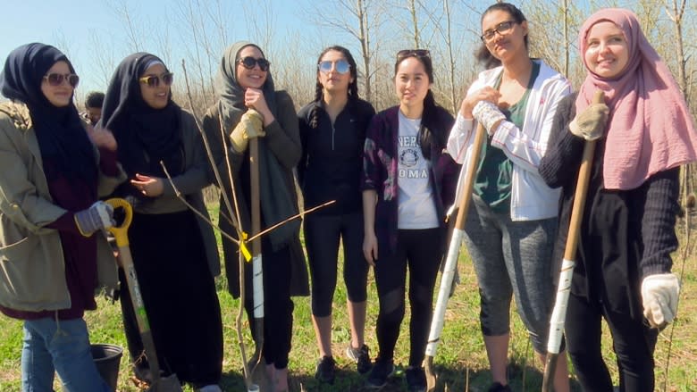 Shovels and seedlings for 2,200 new trees in Windsor