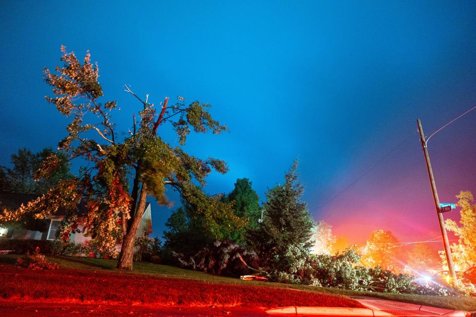 A tree sits damaged after severe weather in Kent County, Michigan on Thursday, Aug. 24, 2023.  A strong storm powered by winds up to 75 mph has downed trees and power lines across Michigan, torn roofs off buildings and left hundreds of thousands of customers without power. (Joel Bissell/Kalamazoo Gazette via AP)