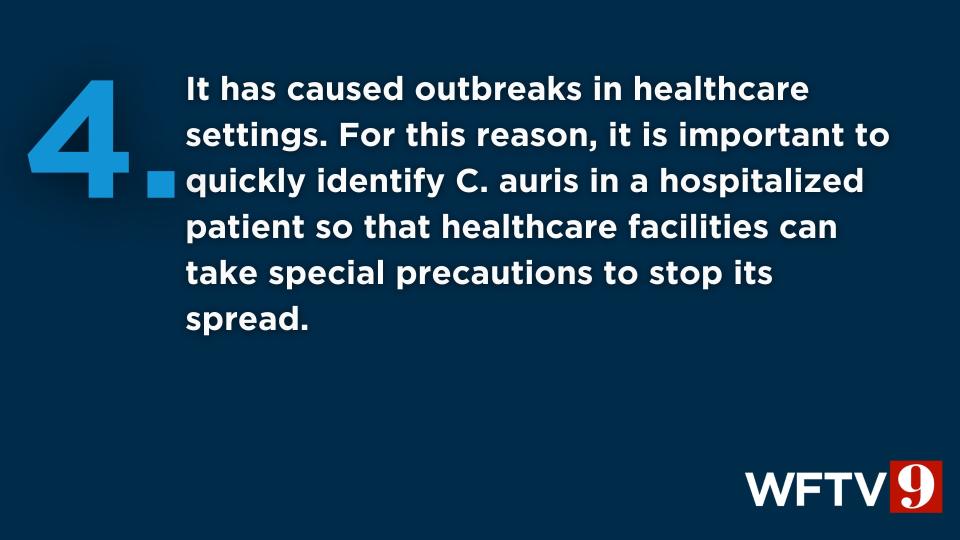 The CDC said Candida auris is a drug-resistant and potentially deadly fungus.