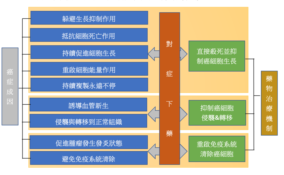 圖 3：癌症成因的九大面向 & 對症下藥的治療機制