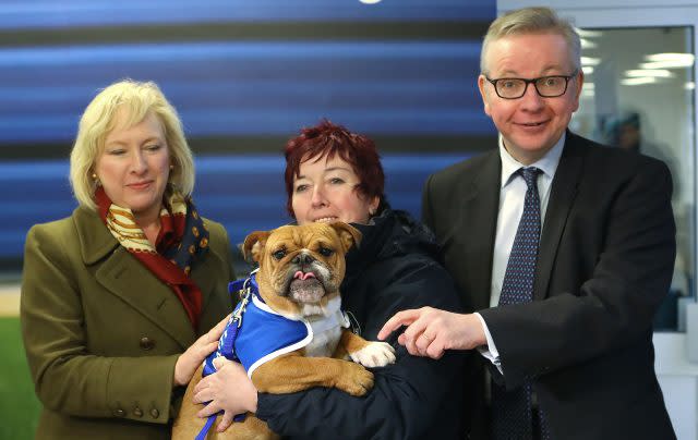 Mr Gove meets Enid the bulldog at Battersea Dog's Home (Philip Toscano/PA)