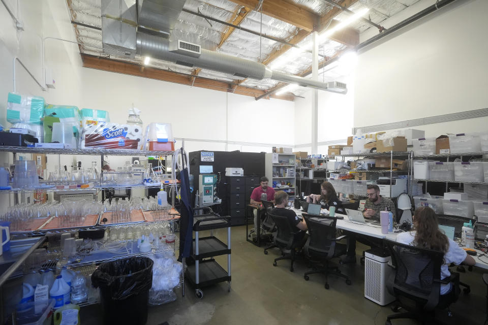 California Cultured employees work at the company's office in West Sacramento, Calif., Wednesday, Aug. 28, 2024. (AP Photo/Jeff Chiu)