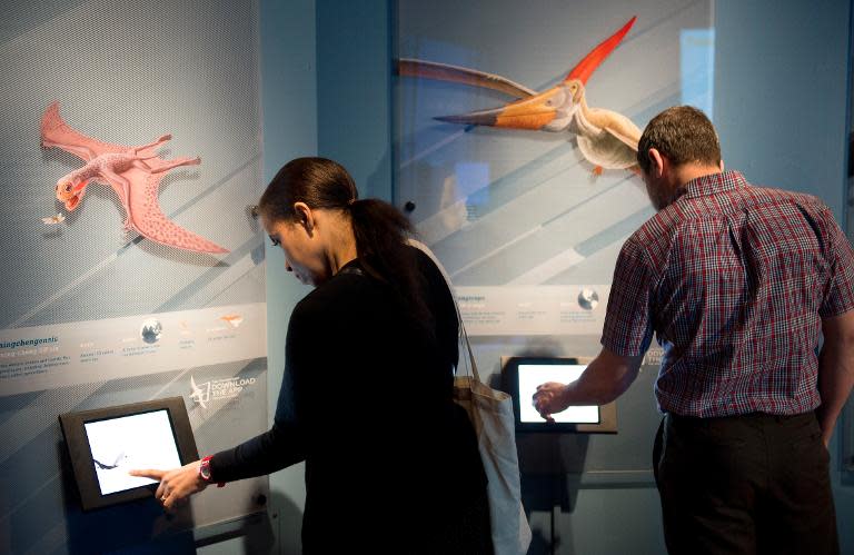 Reporters experience part of the exhibit called "Pterosaurs: Flight in the Age of Dinosaurs" shown at a preview April 1, 2014 at the American Museum of Natural History in New York