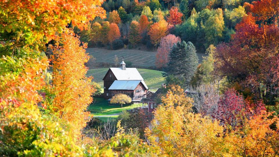Vermont: 'Leaf-peepers'