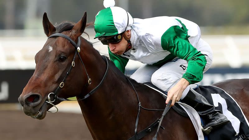 Blake Shinn. Image: Getty