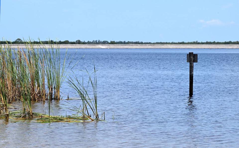 Lake Manatee from the Lake Manatee State Park, May, 2024.