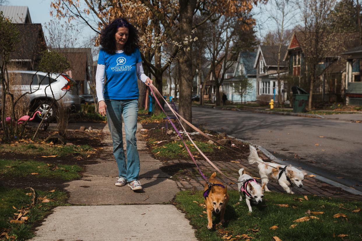 Local animal advocate Maggie Cain takes her dogs, (left to right) Cece, Winnie and Fiona, for a Wednesday afternoon walk down the street she has lived on for the past 20 years while her cats, Doris and Bernard, await their return on Wednesday, April 10, 2024.