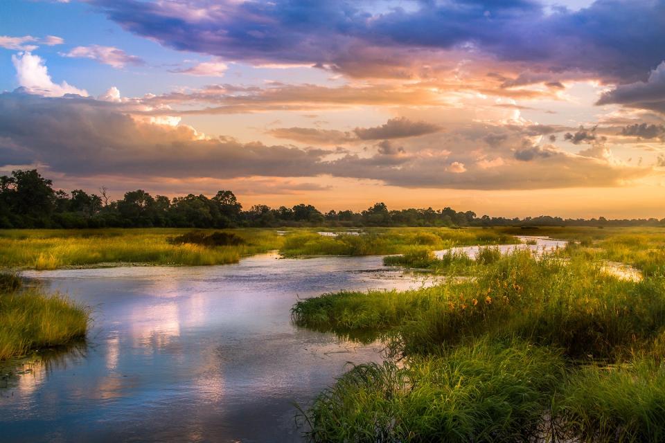 Scenic view of Okavango river at sunset