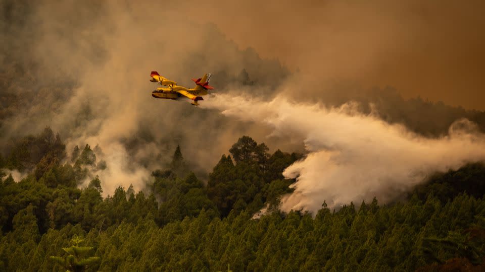 More than 370 personnel and 17 firefighting aircraft have been deployed to control the blaze. - Andres Gutierrez/Anadolu Agency/Getty Images