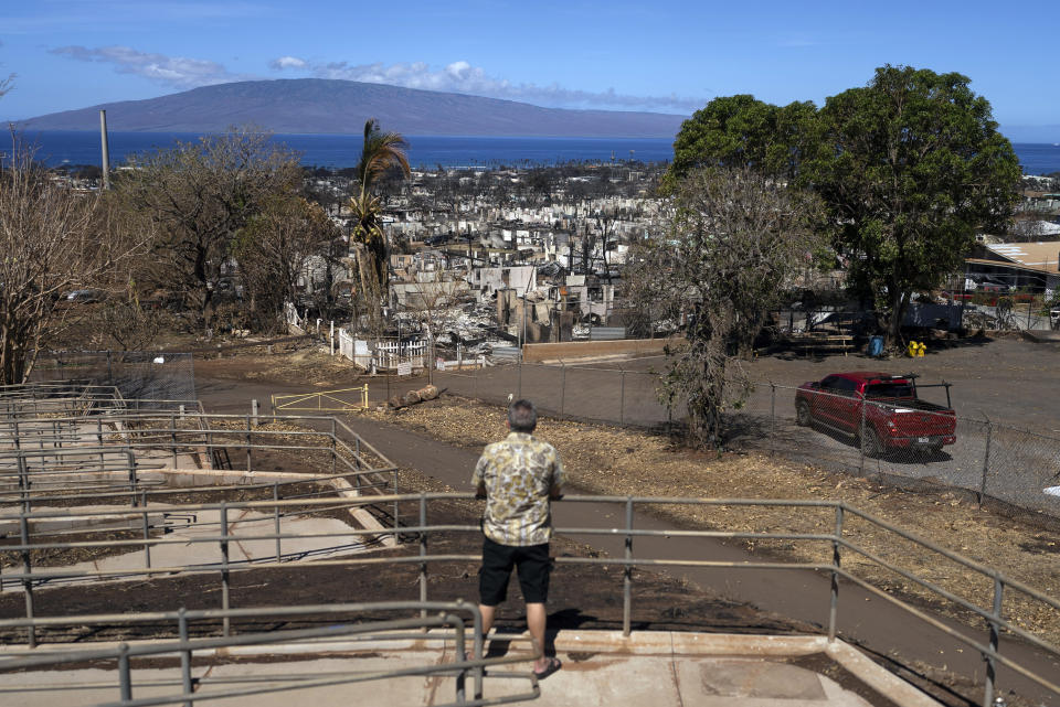 FILE - A man views homes consumed by a wildfire in Lahaina, Hawaii, Thursday, Aug. 17, 2023. The Maui Fire Department is expected to release a report Tuesday, April 16, 2024, detailing how the agency responded to a series of wildfires that burned on the island during a windstorm last August. (AP Photo/Jae C. Hong, File)