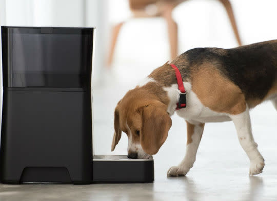 Pet owners rejoice! This automatic pet feeder manages mealtimes and portion sizes, and can even deliver more food to your door through the convenience of your iPhone. Ideal for busy or traveling pet owners, this is a great gift that will make your loved ones and their four-legged friends equally happy. Available on Amazon; $149.