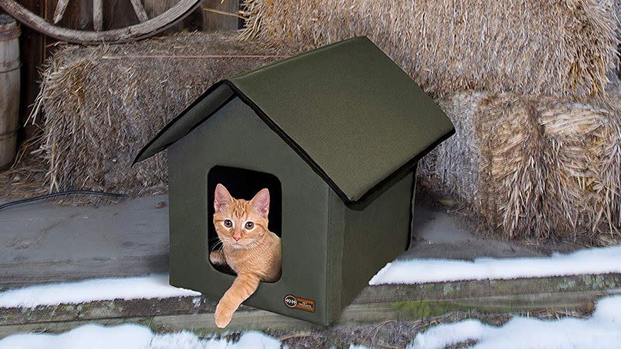 Cat, Cat furniture, Felidae, Small to medium-sized cats, Birdhouse, Winter, Bird feeder, Snow, Fawn, Wildlife, 