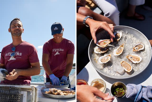 <p>Elizabeth Cecil</p> From left: Brothers Dan, left, and Greg Martino of Cottage City Oysters on their hour-long tour of Vineyard Sound; freshly shucked bivalves aboard the Leeward, Cottage City Oysters' tour boat.