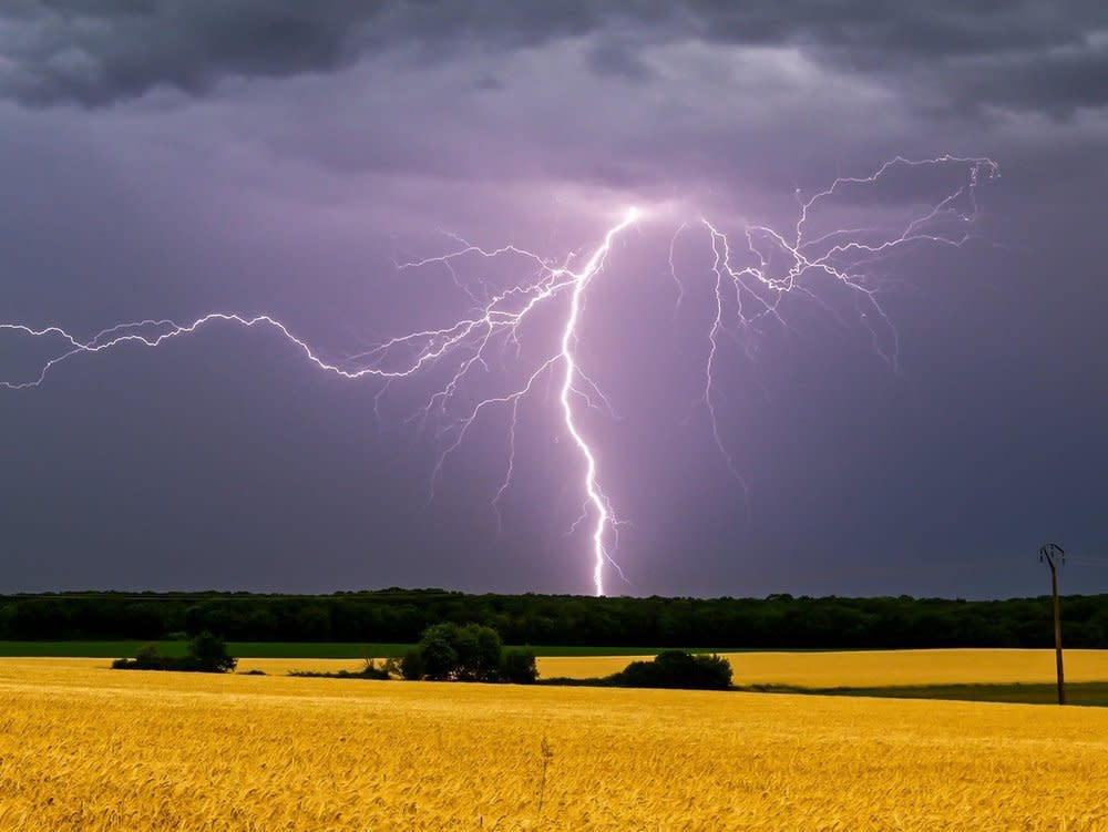 Blitzeinschläge können tödlich sein. (Bild: Nikolay Zaborskikh/Shutterstock.com)
