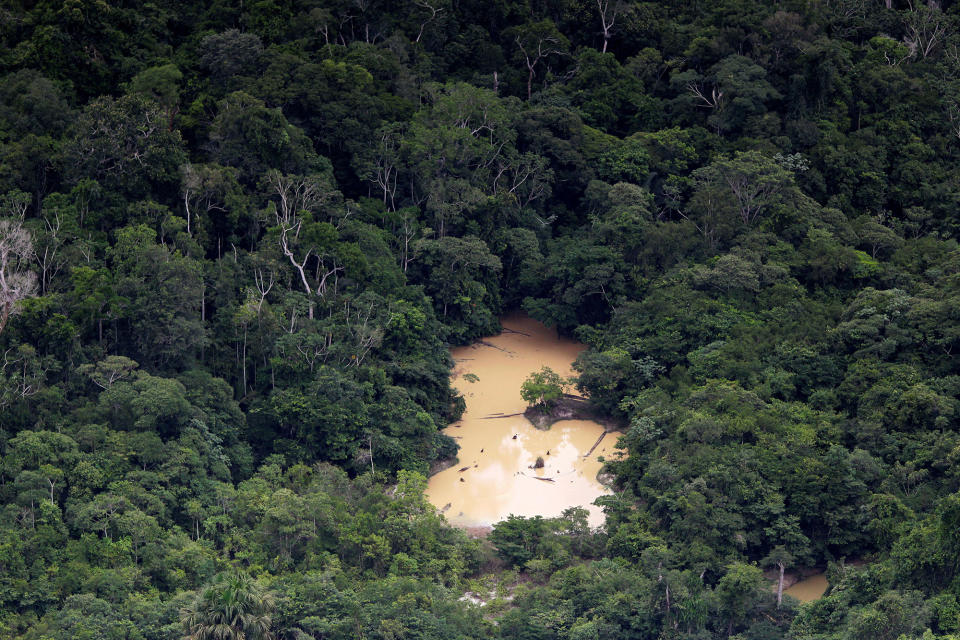 Brazil’s Amazon guardians