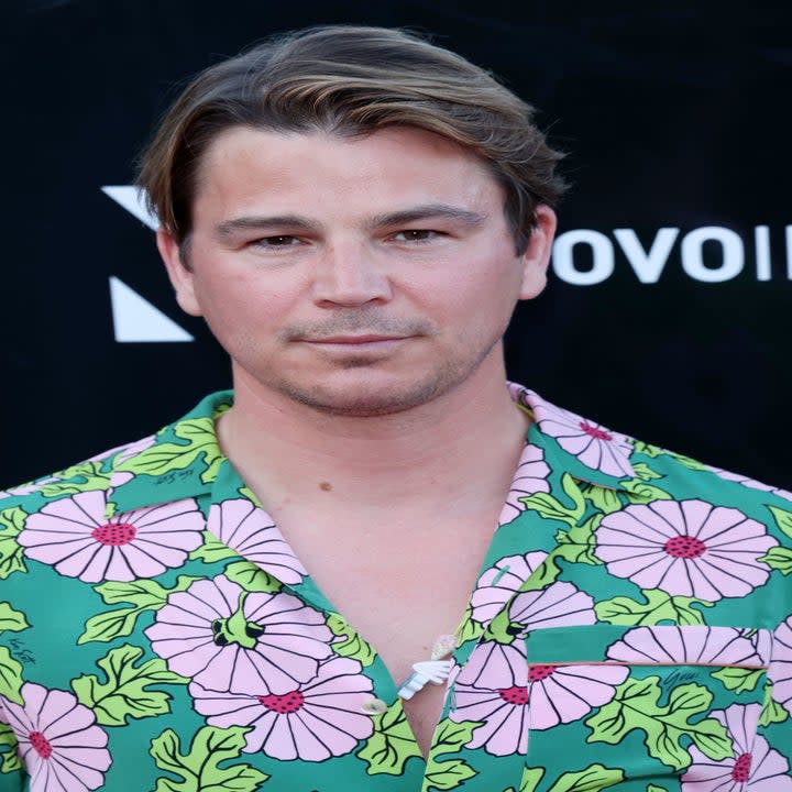 Josh Hartnett on the red carpet