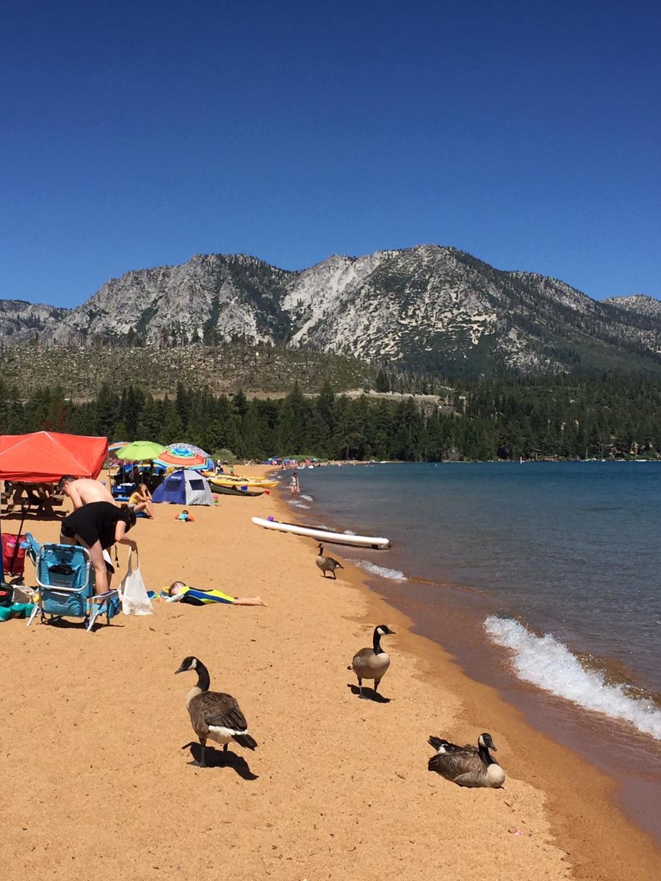 Lake Tahoe’s Baldwin Beach attracts beach-goers, with Mount Tallac in distance.