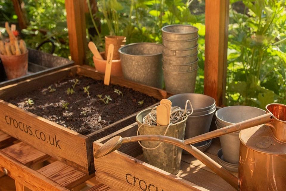 <p>Seed and be seen: using metal or wooden seed trays, such as Crocus’s, is a stylish and reusable way of sowing plants</p> (Julia Leakey)