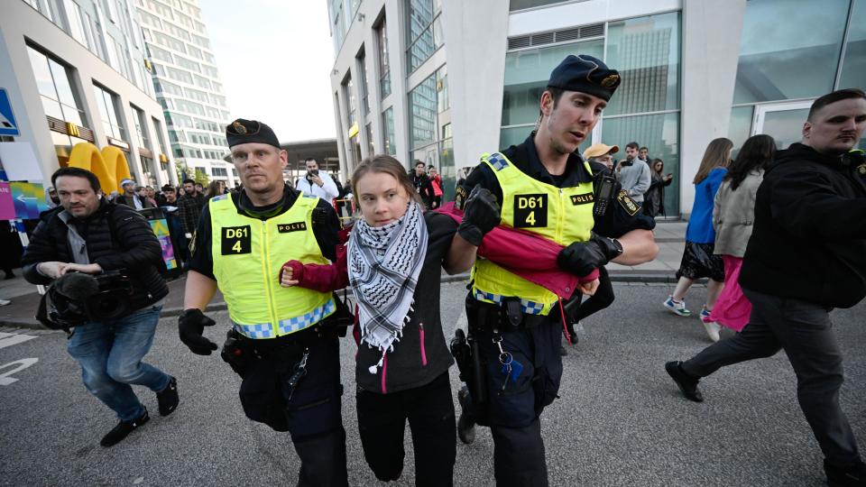 Activist Greta Thunberg is removed from a pro-Palestinian protest in Malmo 