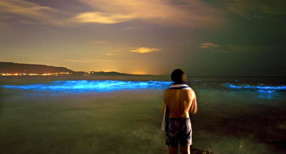 A man with a towel around his shoulders watches the rare bioluminescent phenomenon at Bellambi. Source: Chris Duczynski