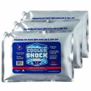 <p><strong>Cooler Shock</strong></p><p>Amazon</p><p><strong>$26.99</strong></p><p><a href="https://www.amazon.com/dp/B06XH9GB75?tag=syn-yahoo-20&ascsubtag=%5Bartid%7C1782.g.40023723%5Bsrc%7Cyahoo-us" rel="nofollow noopener" target="_blank" data-ylk="slk:Shop Now;elm:context_link;itc:0;sec:content-canvas" class="link ">Shop Now</a></p><p>For a cooler that will stay chilled all weekend long, you can't go wrong with the <a href="https://www.amazon.com/Cooler-Shock-Zero%C2%B0F-Freeze-Packs/dp/B06XH9GB75?tag=syn-yahoo-20&ascsubtag=%5Bartid%7C1782.g.40023723%5Bsrc%7Cyahoo-us" rel="nofollow noopener" target="_blank" data-ylk="slk:Cooler Shock Reusable Ice Packs;elm:context_link;itc:0;sec:content-canvas" class="link "><strong>Cooler Shock Reusable Ice Packs</strong></a>, which stay chilled up to 48 hours. Ten-by 14-inches in size, they're great for large coolers. </p><p> "I have had these for about two years and use them everyday and camp four times a year for 3-plus days. They work amazing!!!!! They are ice cold for days!" said one <a href="https://www.amazon.com/gp/customer-reviews/R196NUCNEELULQ?tag=syn-yahoo-20&ascsubtag=%5Bartid%7C1782.g.40023723%5Bsrc%7Cyahoo-us" rel="nofollow noopener" target="_blank" data-ylk="slk:reviewer;elm:context_link;itc:0;sec:content-canvas" class="link ">reviewer</a>. " I don't have a high-end cooler, but I will have ice cold drinks and food for days."</p><p>The ice packs come with a dry cooling gel mixture inside, so you will have to fill them with water before using. But, once they're filled and frozen, they can be reused.</p>