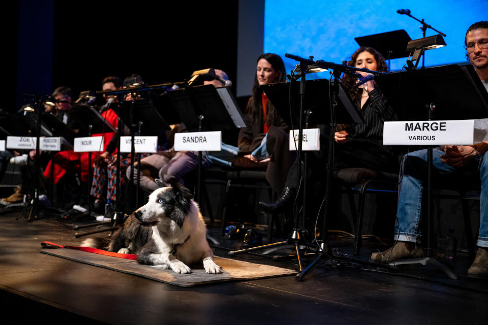 (L-R) Jay Ellis, Tig Notaro, Brett Goldstein, Sherry Cola, Bob Odenkirk, Riley Keough, Messi the dog, Kate Berlant and Danny Ramirez