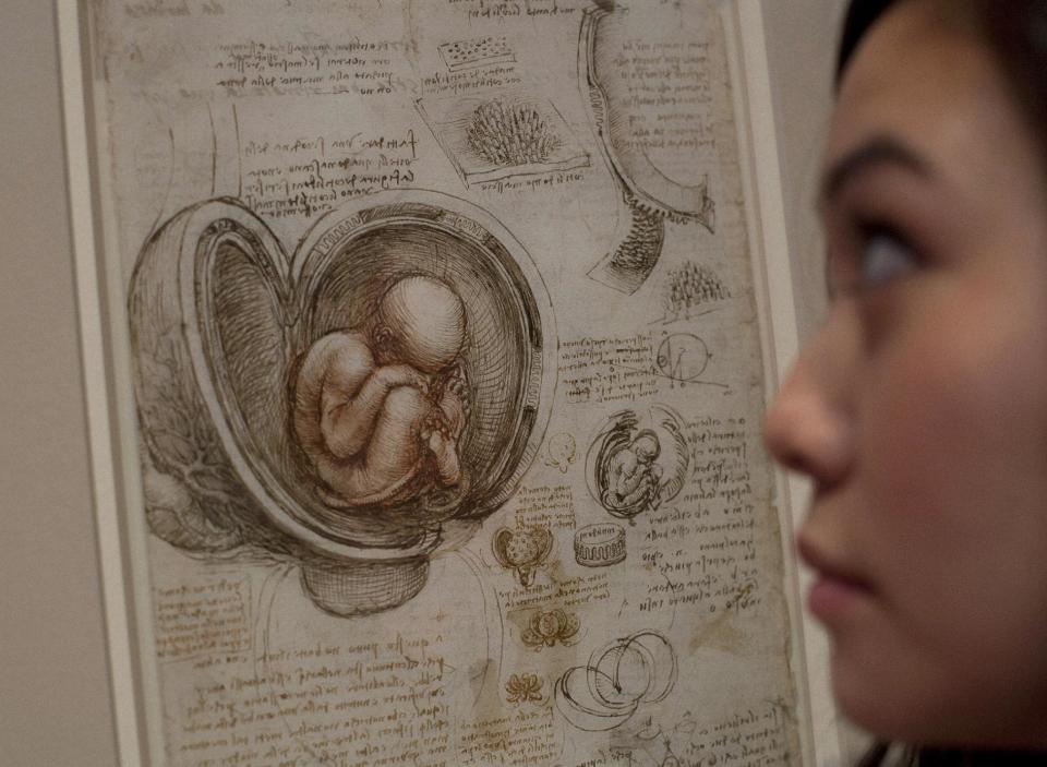 An employee of the Queen's Gallery, Hanae Tsuji looks at an ink drawing by Leonardo da Vinci titled 'Studies of the Foetus in the Womb', around-1510-13, at the Anatomist- exhibition at the gallery in Buckingham Palace, London, Monday, April 30, 2012. The display the largest ever of da Vinci's anatomical works is open to the public and runs from May 4- Oct.7. (AP Photo/Alastair Grant)