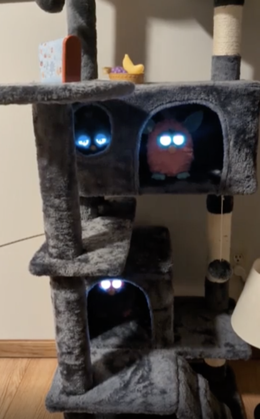 Furbies in a cat tree