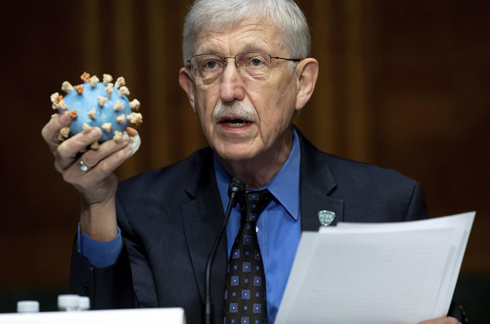 Dr. Francis Collins, Director of the National Institutes of Health (NIH), holds up a model of Covid-19 during a Senate Appropriations subcommittee hearing on the plan to research, manufacture and distribute a coronavirus vaccine, known as Operation Warp Speed, in July on Capitol Hill in Washington.