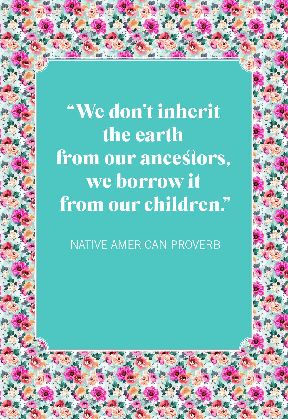 native american proverb nature quotes