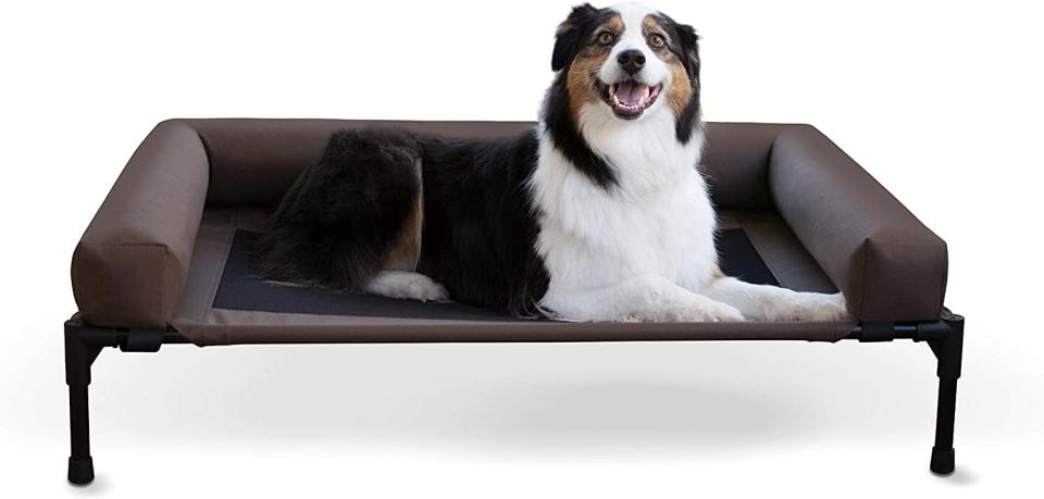 dog couch kh pet products original bolster