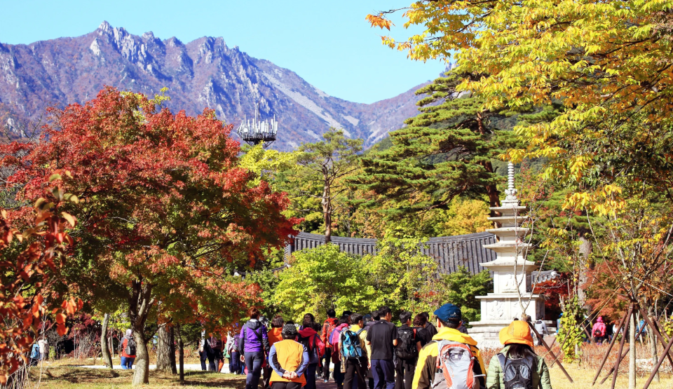 韓國旅遊｜6大韓國一日遊限時買1送1！首爾來回內藏山$192、南怡島草泥馬樂園$281、全州韓屋村$349 提早預訂去賞楓