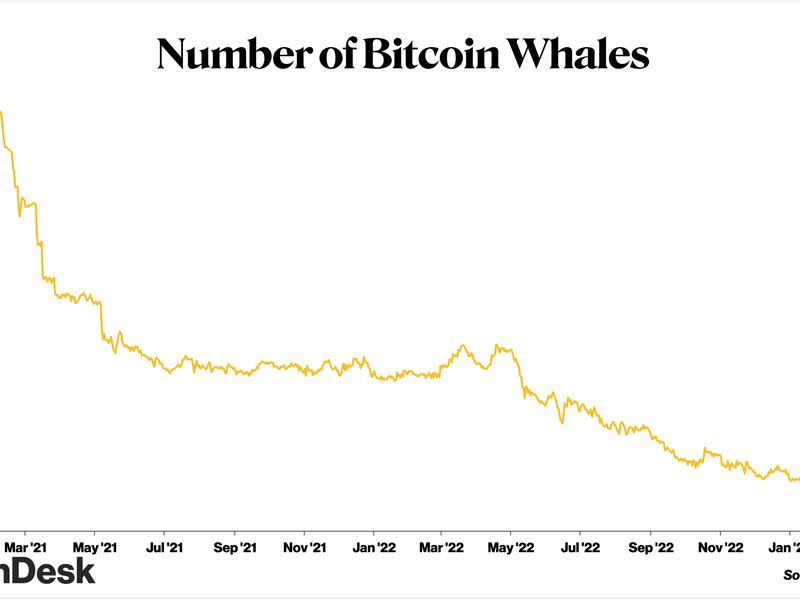 (Sage Young/CoinDesk)