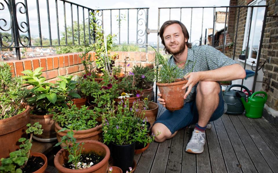 Going green: Tomé Morrissy-Swan shows off the array of plants on his balcony -  Rii Schroer