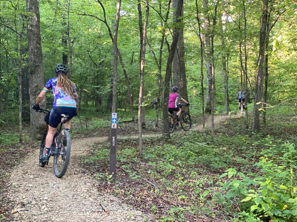 People riding bikes on a rocky path through trees