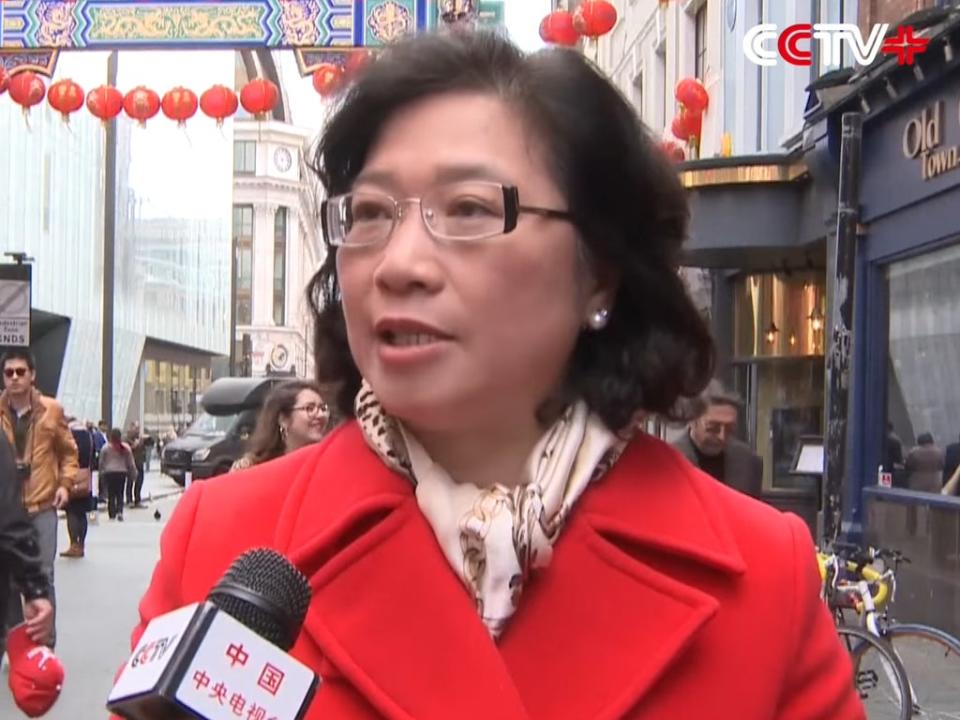 Christine Lee  has been accused of attempting to sway UK lawmakers  (CCTV Video News Agency)