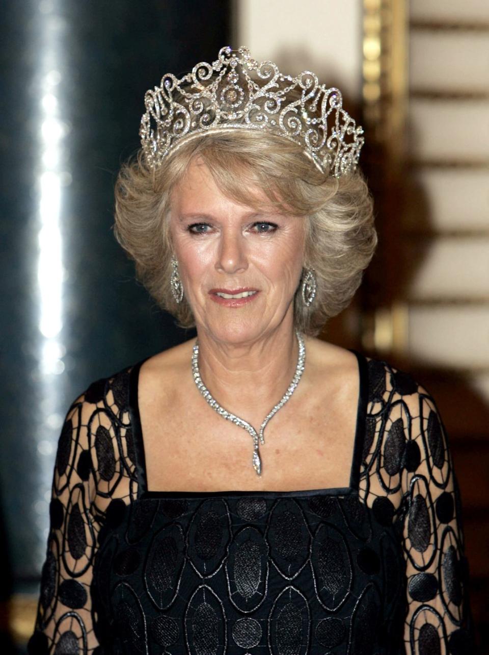 19 Photos of Camilla, Duchess of Cornwall, Sparkling in Diamonds