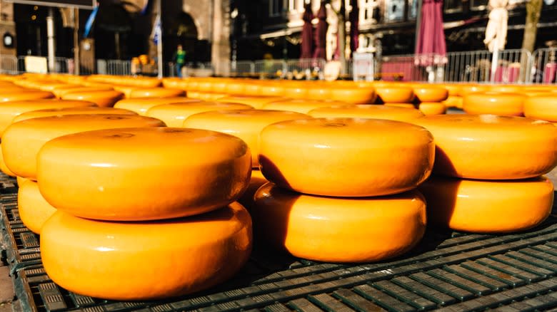 Gouda wheels at the Alkmaar cheese market