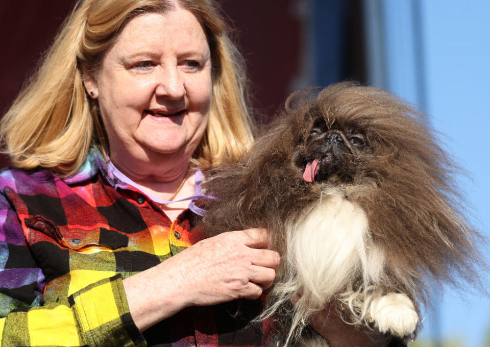 Ann Lewis holds her dog Wild Thang after the pooch won the World's Ugliest Dog contest at the Marin-Sonoma County Fair.<span class="copyright">Justin Sullivan—Getty Images</span>