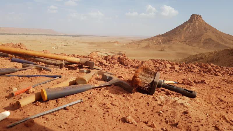 Tools lie at the excavation site of Spinosauru in the Kem Kem region of the Sahara Desert