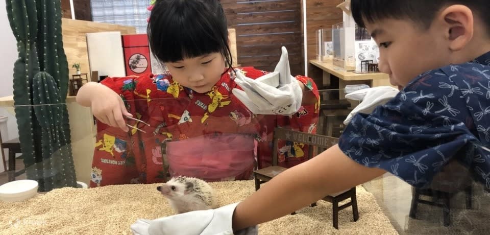 A photo of two kids playing with a hedgehog at a cafe in Shibuya.