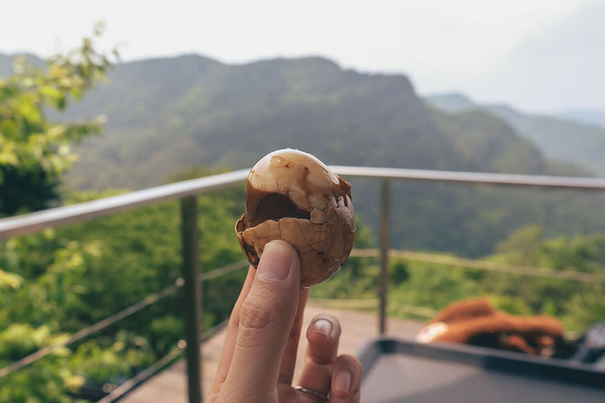 新北三峽｜熊空茶園